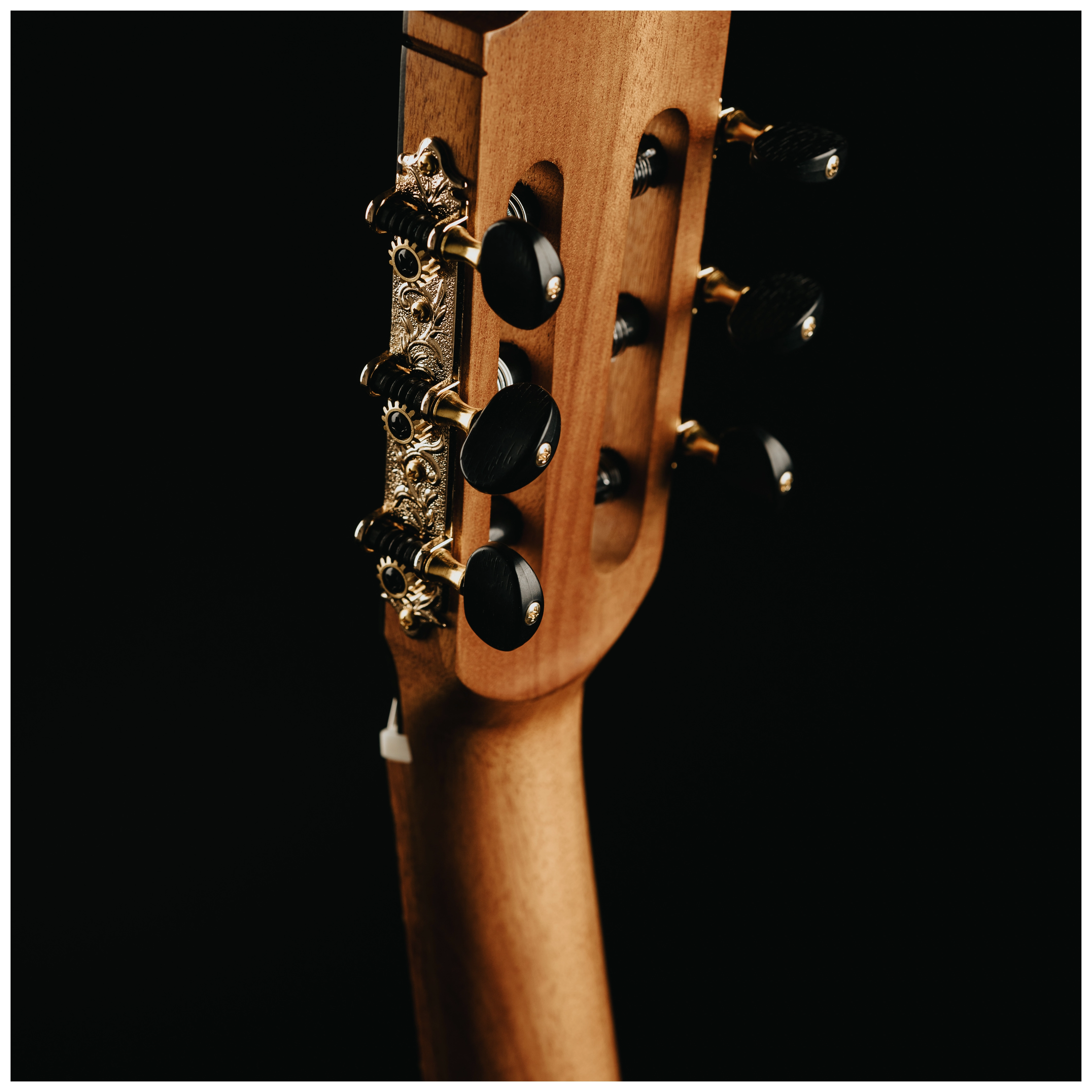 Maton Cantora Plus 4/4 LH 26