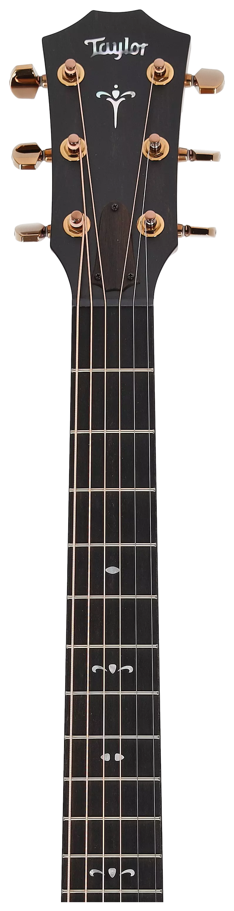 Taylor 722ce Koa Gloss 13