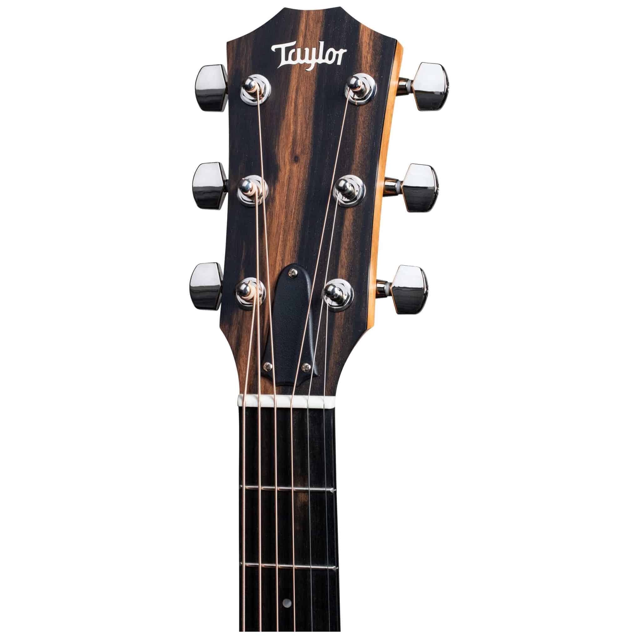 Taylor - Taylor 210ce Plus 2020 - 2
