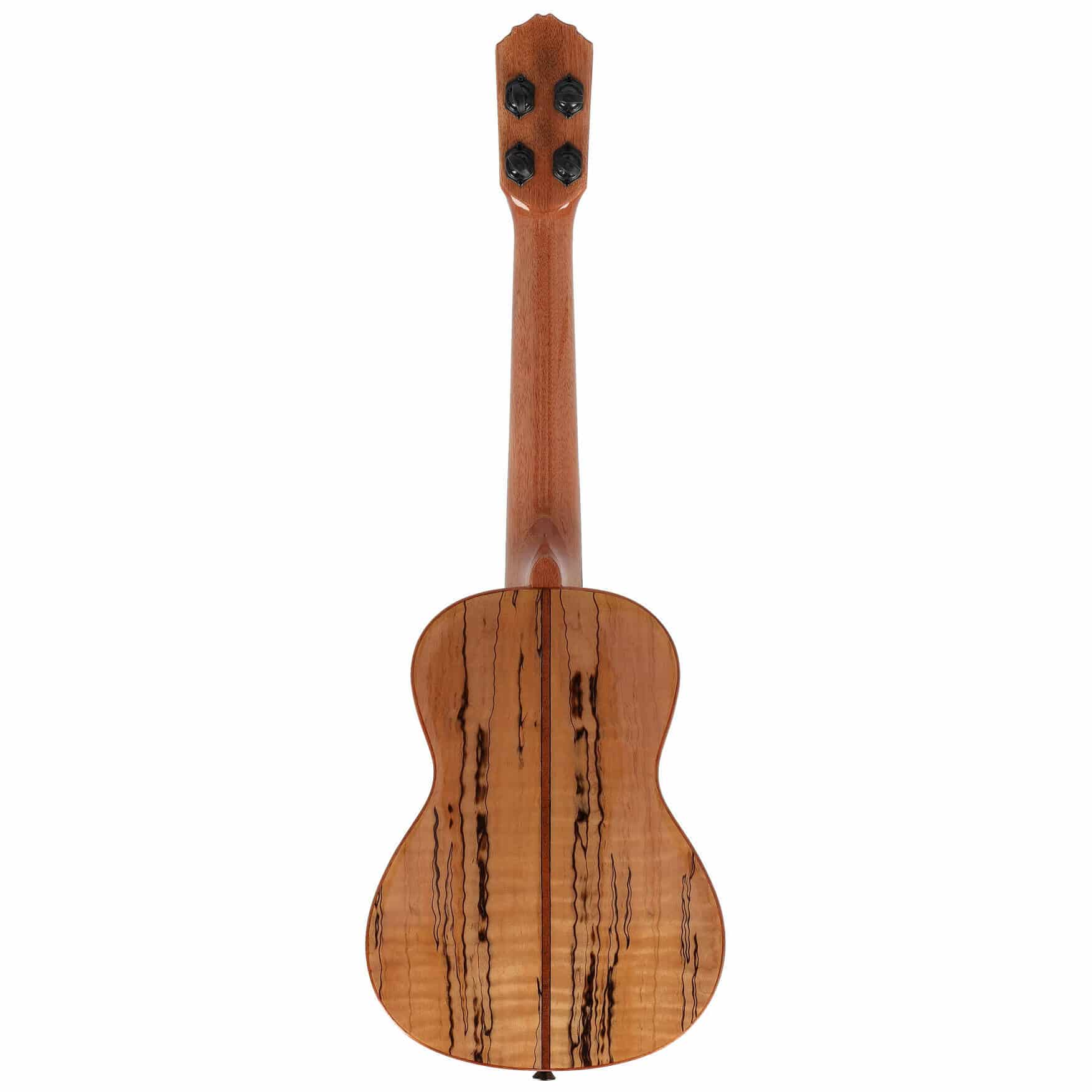 Ortega RUET-SMA 2