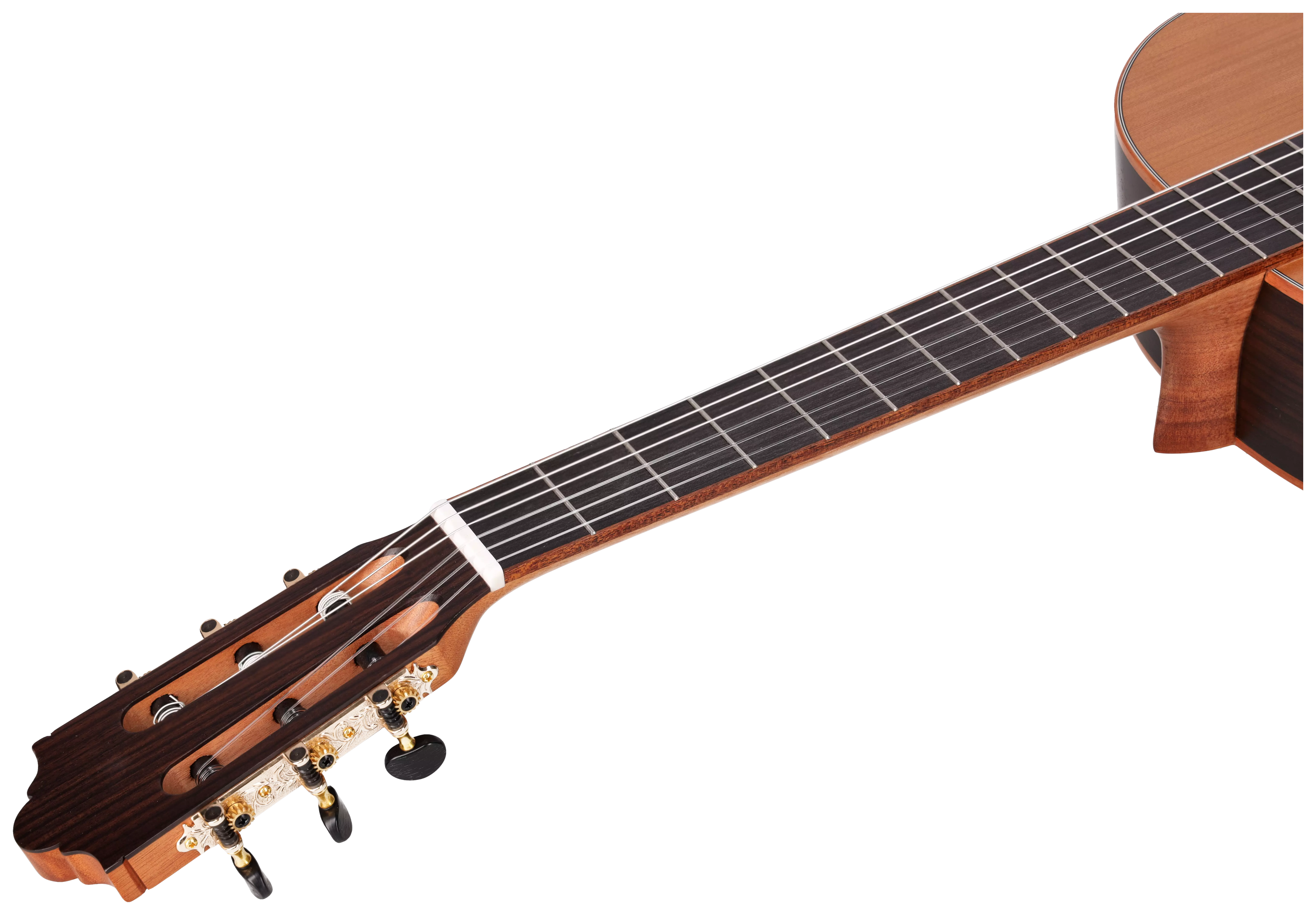 Maton Cantora Plus 4/4 LH 13