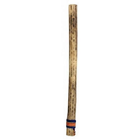  Medium Kaktus Rainmaker Thin 50 cm