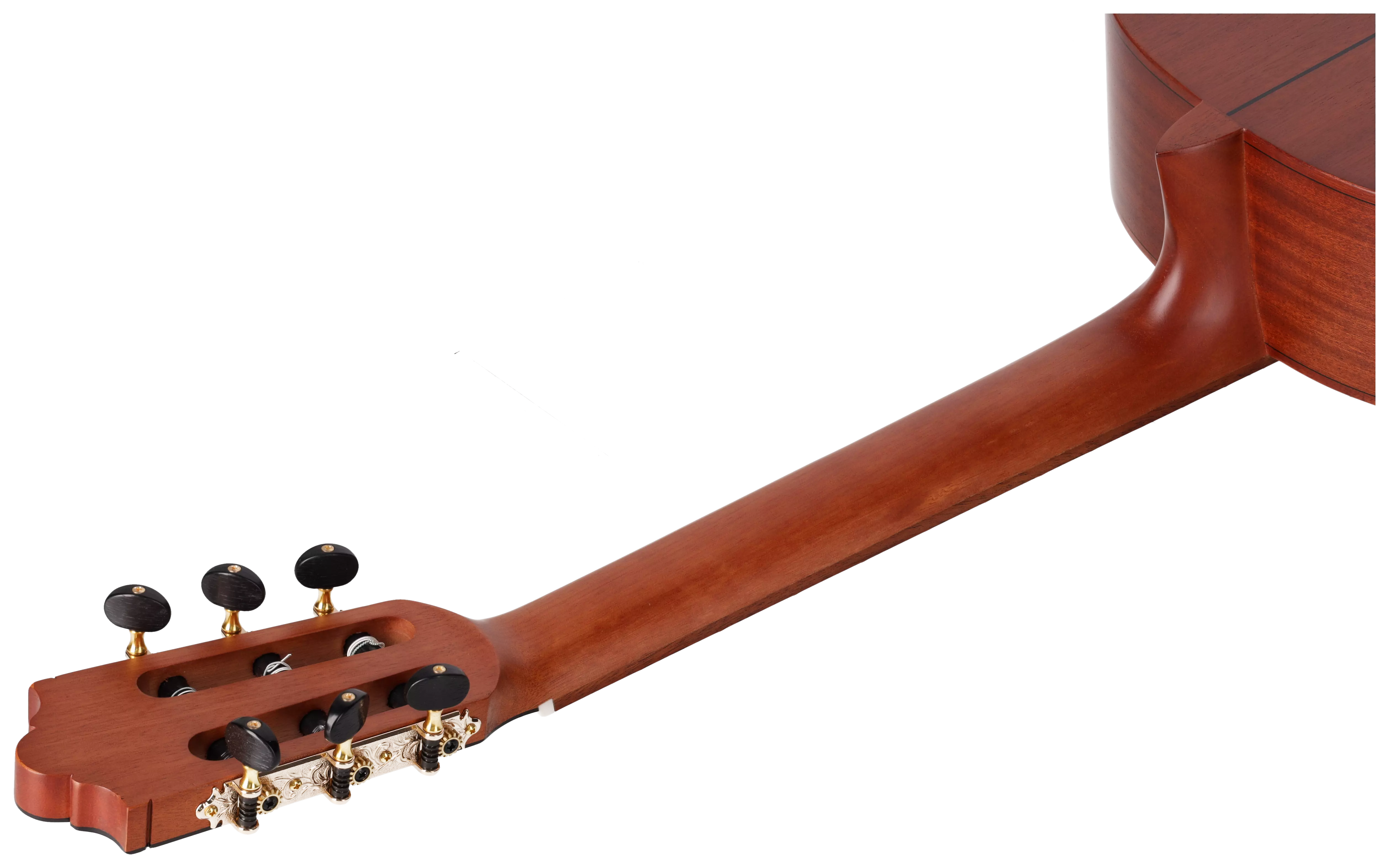 Redwood Cantora Plus 4/4 SM Satin Black 14