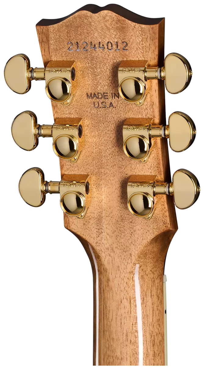  Hummingbird Standard Rosewood EC 5