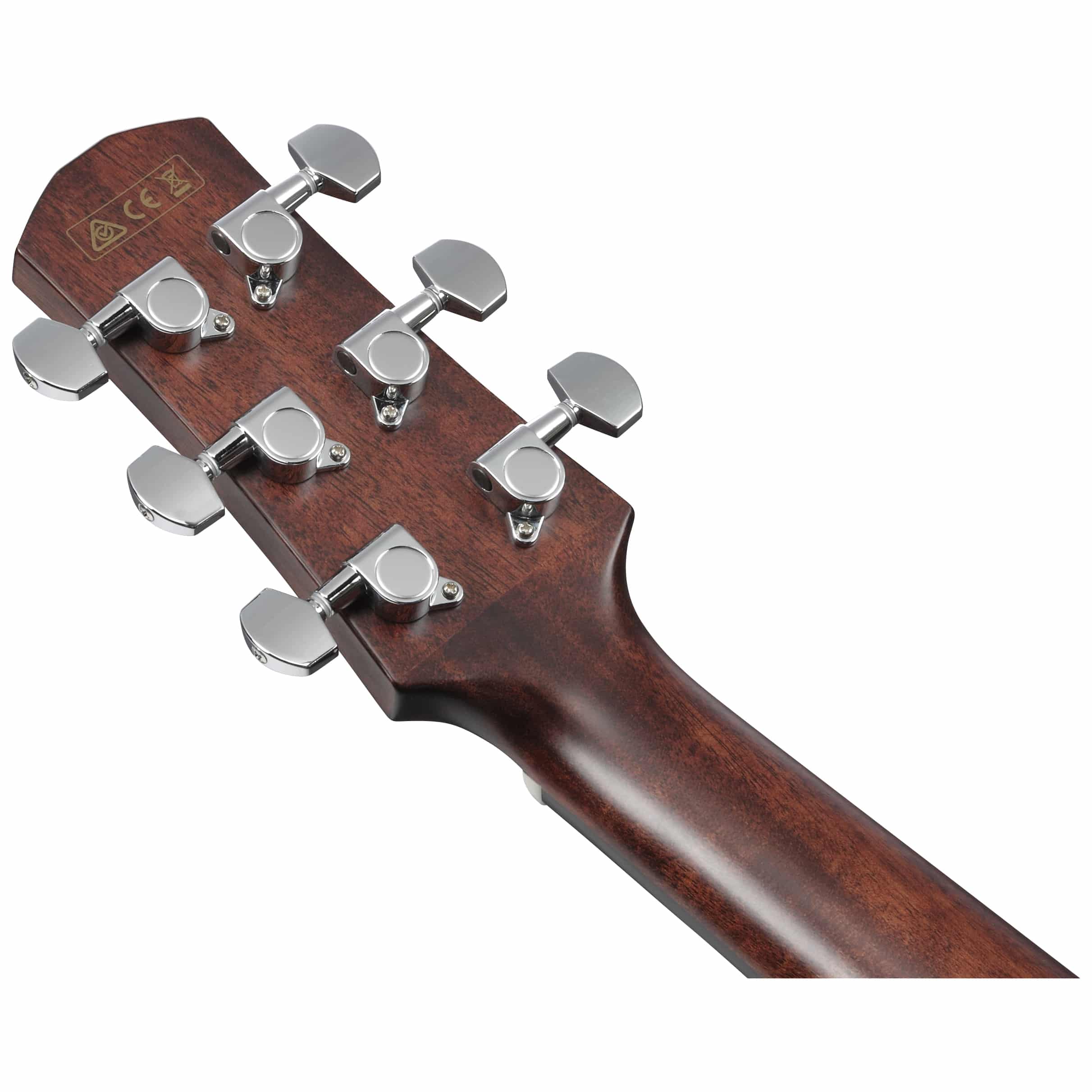 Ibanez AAD170LCE-LGS 9