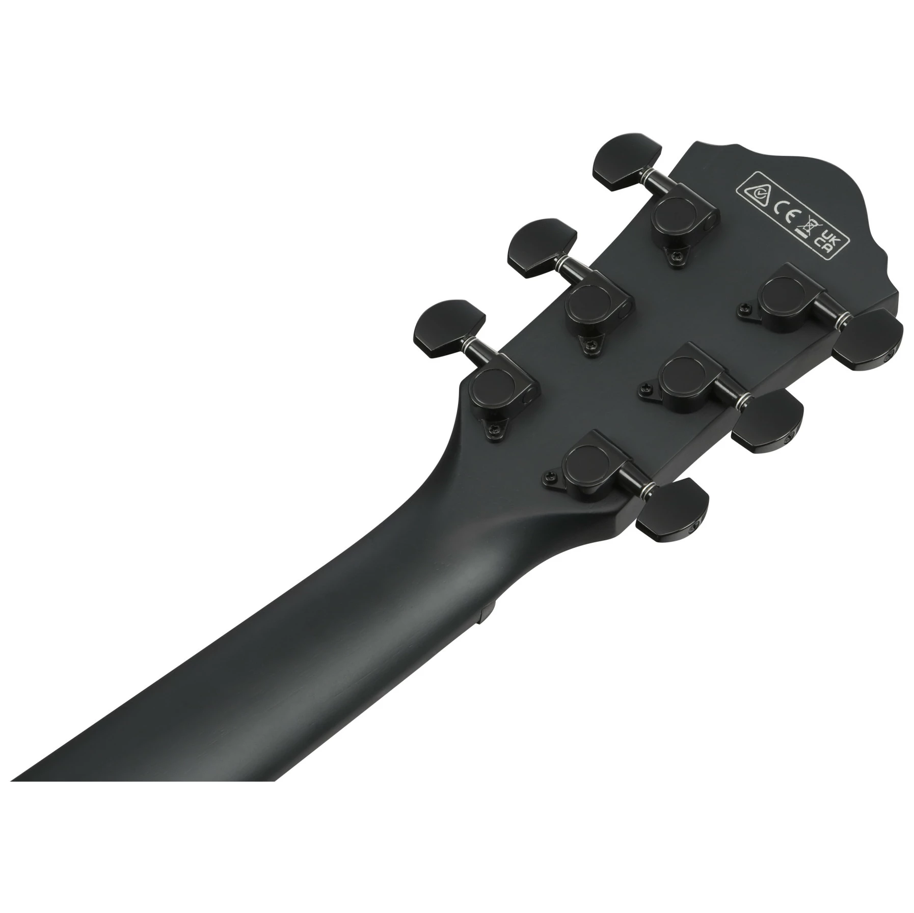 Ibanez AEWC621L-BOT 5