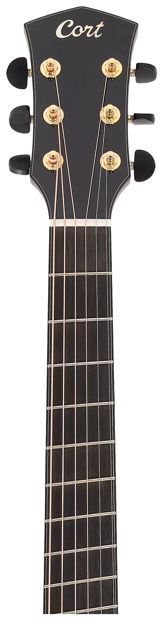 Cort Cut Craft Limited Natural 11