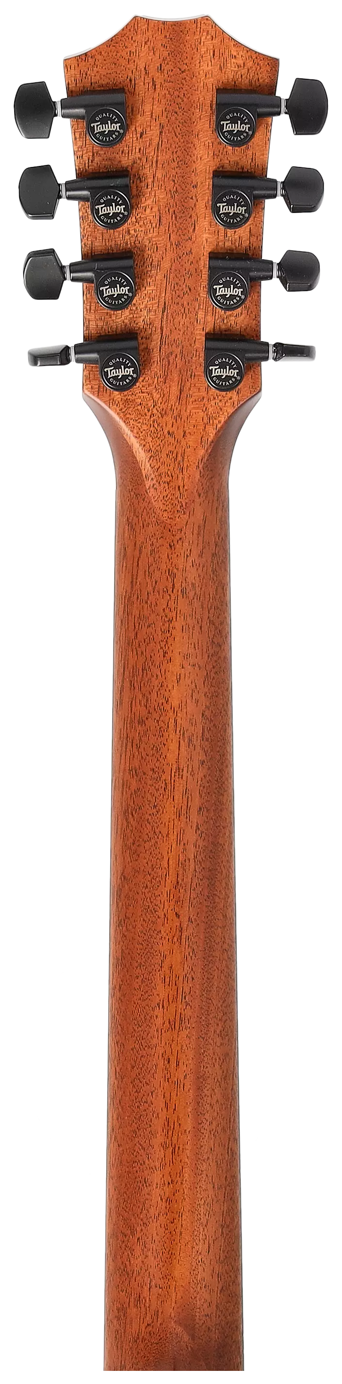 Taylor 324ce Baritone-8 LTD 12