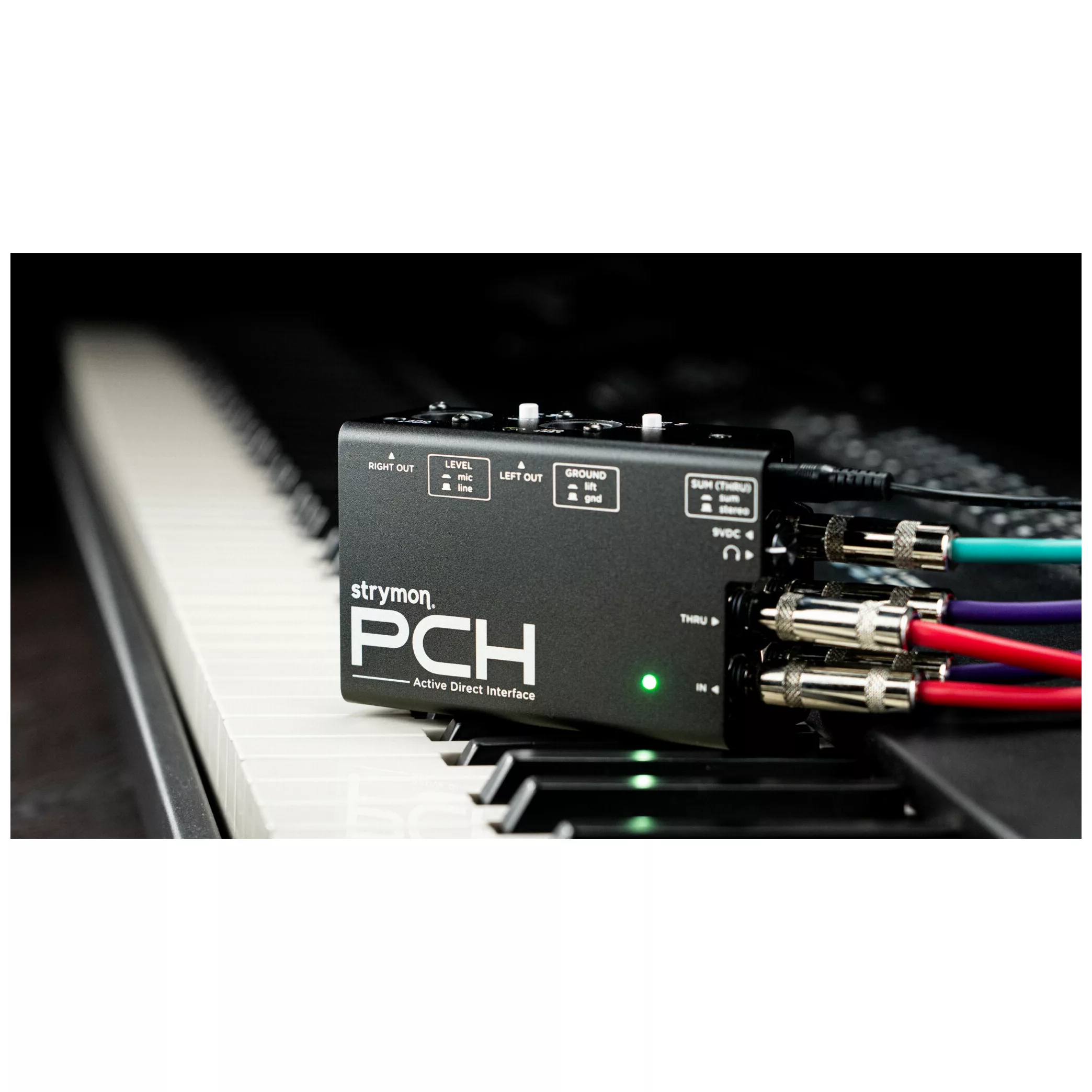Strymon PCH -1 DI 5