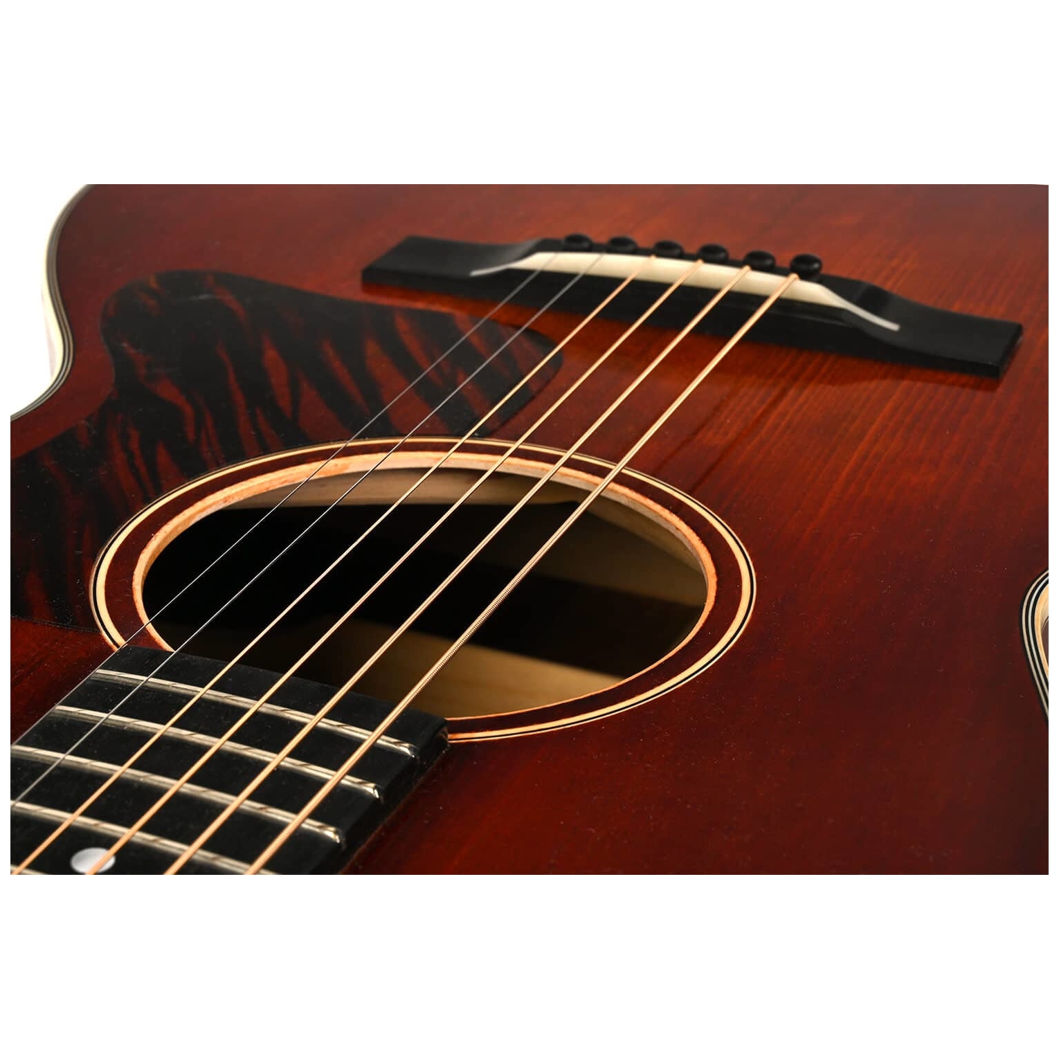 Eastman - Eastman E10 00 SS v - 7